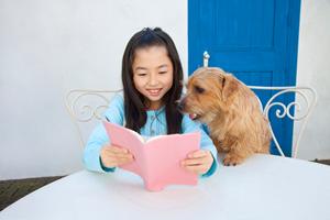 鹿児島県でペット葬儀会社を探している方