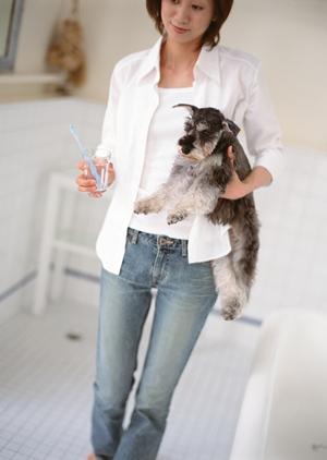 京都で動物看護師として活躍するなら