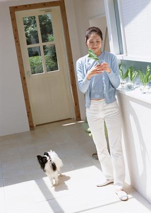 旭川市の緑に囲まれた動物病院 ? 緑の森どうぶつ病院 旭神センター病院の総合案内