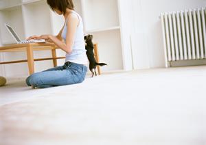 安心して選べる獣医師推奨の療法食を通販で手軽に手に入れる方法